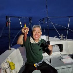 ブルーピア 釣果