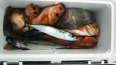 モンロー号 釣果