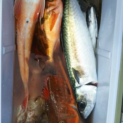 モンロー号 釣果