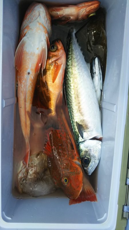 モンロー号 釣果