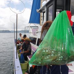 川崎丸 釣果