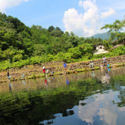 小菅トラウトガーデン 釣果