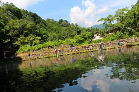 小菅トラウトガーデン 釣果