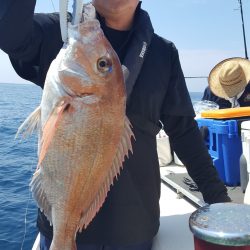 海峰 釣果
