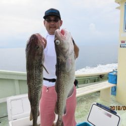 大進丸(新潟) 釣果