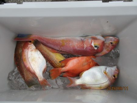 大進丸（新潟） 釣果