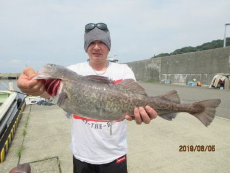 大進丸(新潟) 釣果