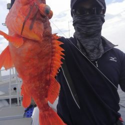 遊漁船 新鋭丸 釣果