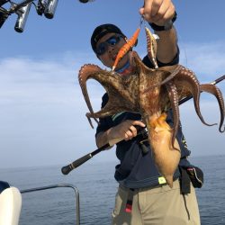 Magic(マジック) 釣果