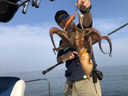 Magic(マジック) 釣果