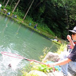小菅トラウトガーデン 釣果