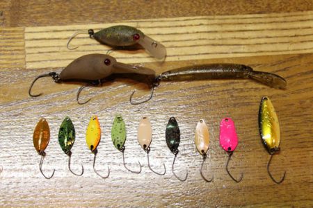 小菅トラウトガーデン 釣果