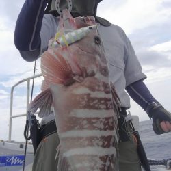 遊漁船 新鋭丸 釣果