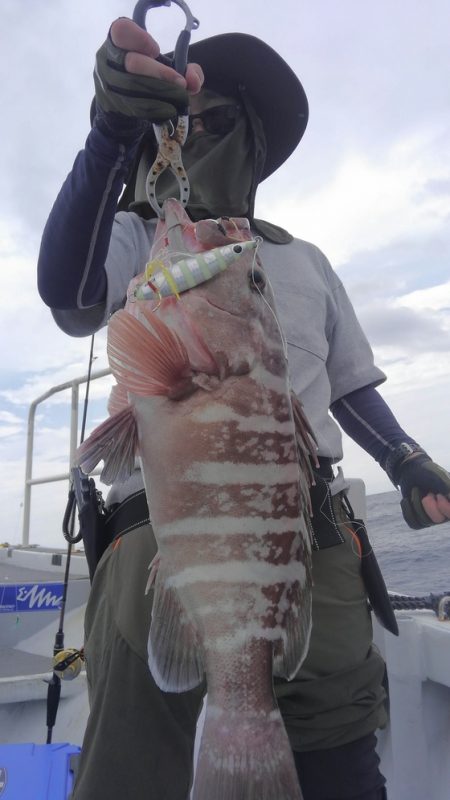 遊漁船 新鋭丸 釣果