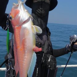 遊漁船 新鋭丸 釣果