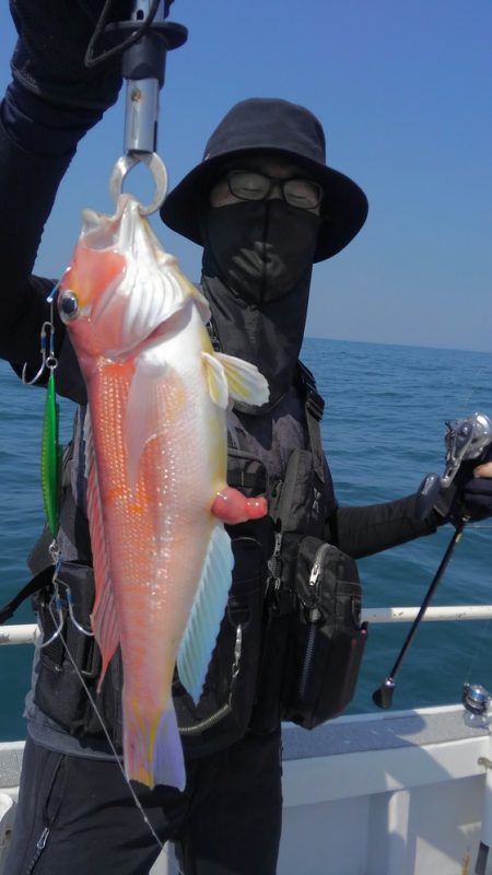 遊漁船 新鋭丸 釣果