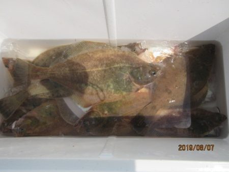 大進丸（新潟） 釣果