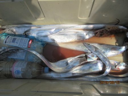 大進丸（新潟） 釣果