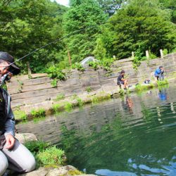 小菅トラウトガーデン 釣果