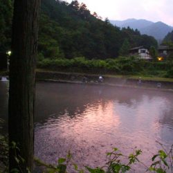 小菅トラウトガーデン 釣果