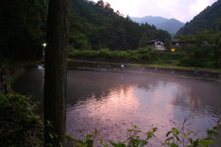 小菅トラウトガーデン 釣果