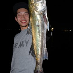 Marine T Design　マリンティーデザイン 釣果