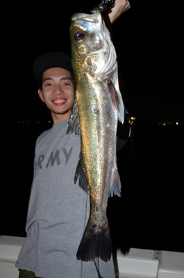 Marine T Design　マリンティ…