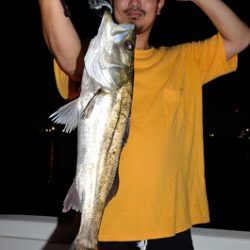 Marine T Design　マリンティーデザイン 釣果