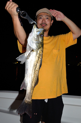 Marine T Design　マリンティーデザイン 釣果