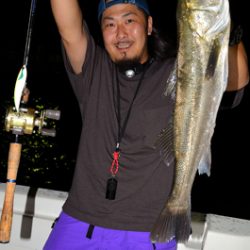 Marine T Design　マリンティーデザイン 釣果