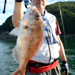 Marine T Design マリンティーデザイン 釣果