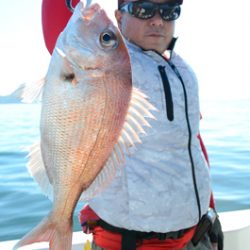 Marine T Design マリンティーデザイン 釣果