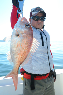 Marine T Design マリンティーデザイン 釣果