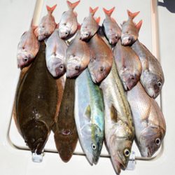 Marine T Design マリンティーデザイン 釣果