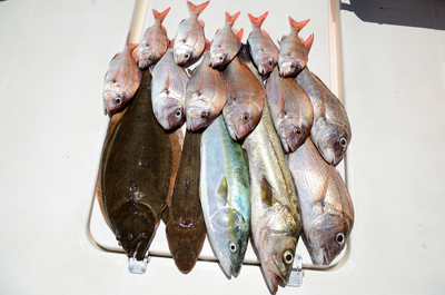 Marine T Design マリンティーデザイン 釣果