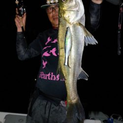 Marine T Design マリンティーデザイン 釣果