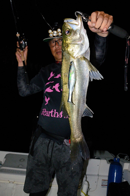 Marine T Design　マリンティ…