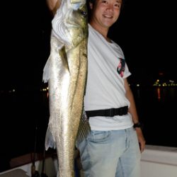 Marine T Design マリンティーデザイン 釣果