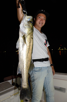 Marine T Design マリンティーデザイン 釣果