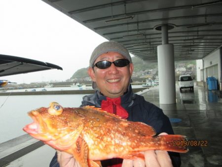 大進丸(新潟) 釣果