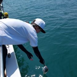 遊漁船 ニライカナイ 釣果