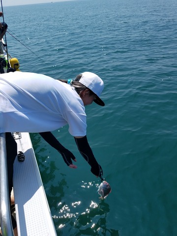 遊漁船 ニライカナイ 釣果