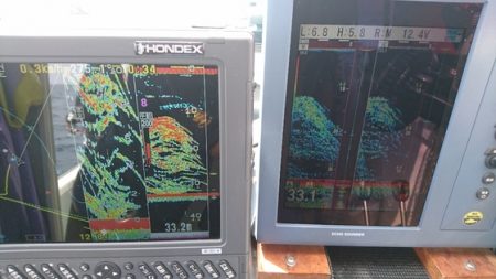 遊漁船ブルーウッズ 釣果