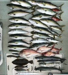 さぶろう丸 釣果