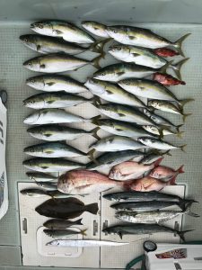 さぶろう丸 釣果