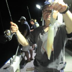 ジギング船 BLUEWATER 釣果