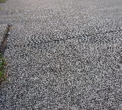 太刀魚狙いの釣行!