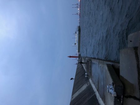 神戸ミッドワインド2