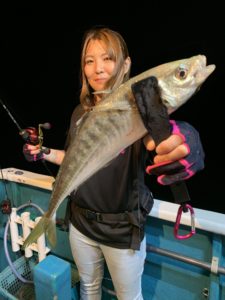 愛海丸 釣果