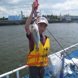 オリジナルメーカー海づり公園(市原市海づり施設) 釣果